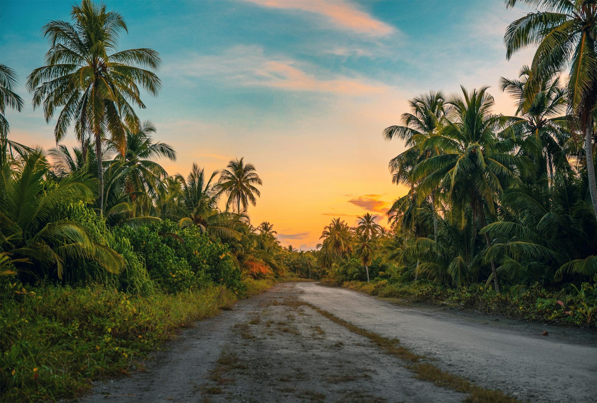 tropical road